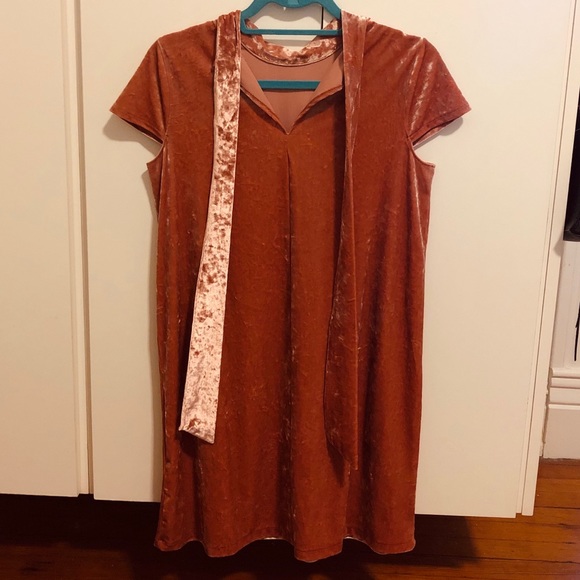 Madewell Velvet High Neck Dress (only worn once) - Picture 3 of 6